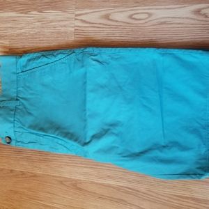 H&M 33R Teal Men's Shorts